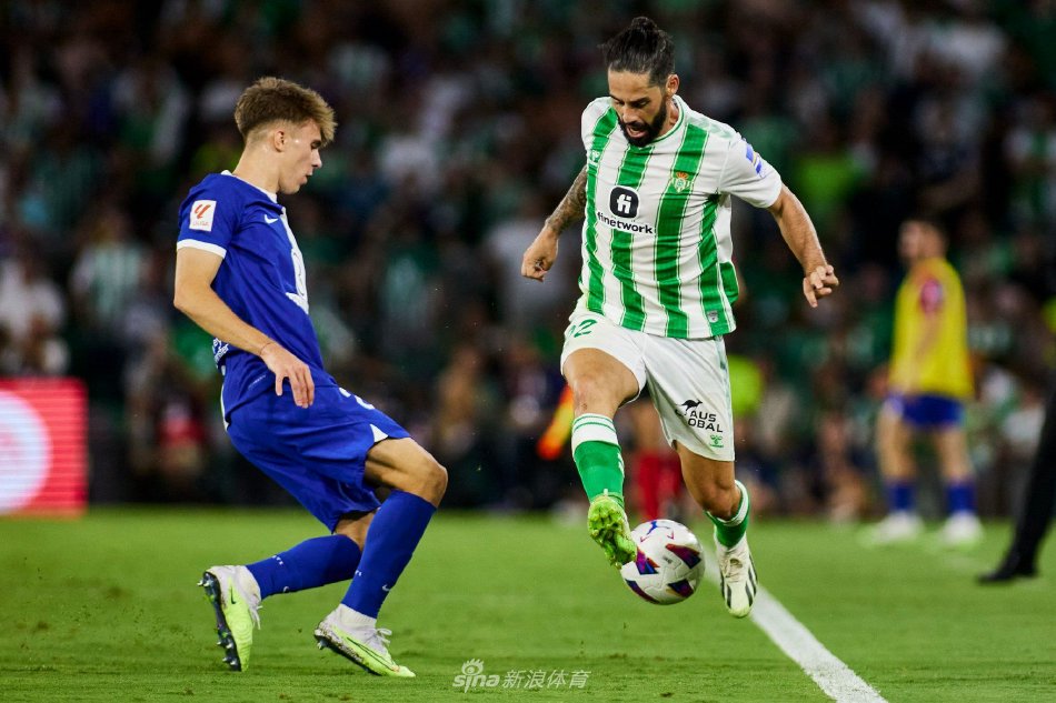 如今的篮球 如今的篮球